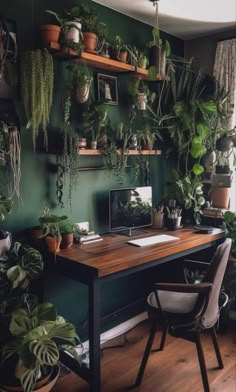 a wooden desk topped with lots of plants next to a wall filled with potted plants