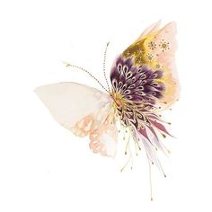 a white butterfly with purple and yellow wings flying through the air on a white background