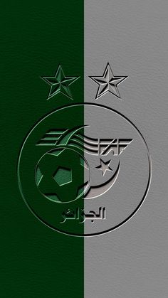 the emblem of two soccer teams is shown in green and grey colors, with stars on each side