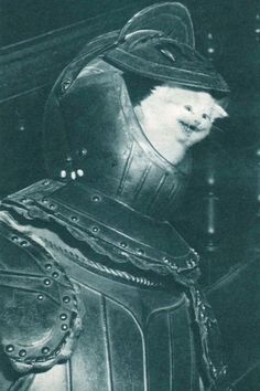 a black and white photo of a cat in a leather armor