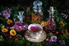 a tea cup and saucer sitting on top of a moss covered ground with flowers