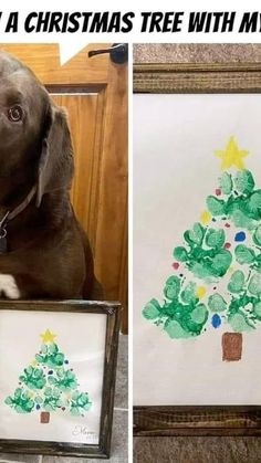 a brown dog sitting next to a christmas tree with green leaves on it's side