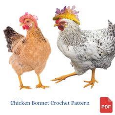 two chickens standing next to each other with the words chicken bonnet crochet pattern