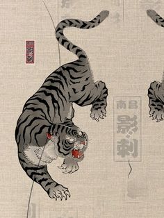 Blackwork Tiger Tattoo, Yakuza Illustration, Year Of The Tiger Tattoo, Tiger Japanese Tattoo, Wabori Tattoo, Tiger Jacket