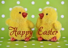 two yellow chicks with happy easter written on them