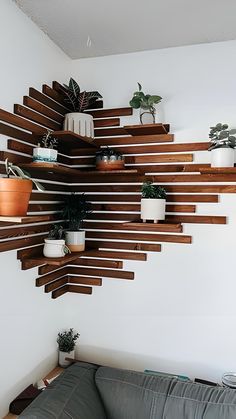 a living room filled with furniture and lots of potted plants on wooden shelving