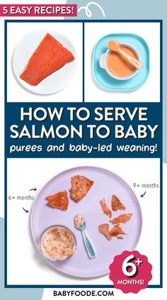 the instructions for how to serve salmon to baby