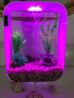 an aquarium filled with plants and rocks under a purple light