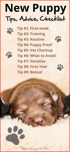 a brown puppy sleeping on top of a white rug next to a red and black paw print