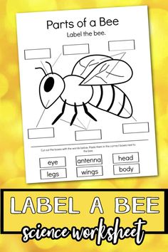 the parts of a bee worksheet for kids