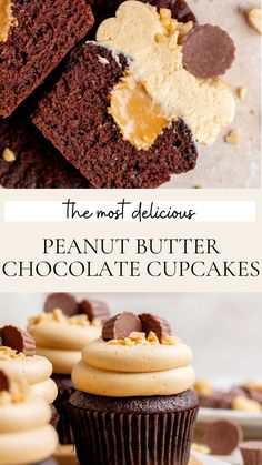 the most delicious peanut butter chocolate cupcakes