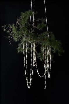 some white beads hanging from a tree branch