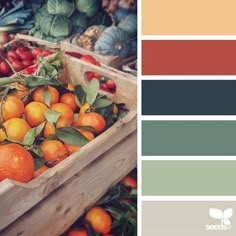 an assortment of fruits and vegetables are displayed in color palettes with the same theme