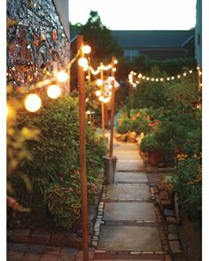 an outdoor path with lights and potted plants on either side that says plot your garden