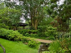 a small bridge in the middle of a lush green park