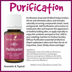 Purification Essential Oil Pin Young Living Purification, Purification Oil, Purification Essential Oil, Diffuser Oils, Potion Labels, Yl Oils, Essential Oils Cleaning, Diffuser Oil