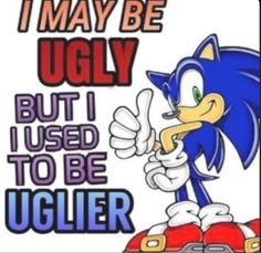 sonic the hedge saying i may be ugly but i used to be ugliier