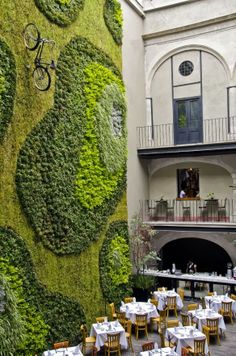 an outdoor dining area with tables and chairs covered in green plants, next to a tall wall