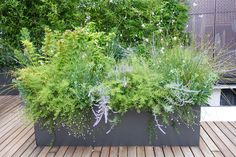 a planter filled with lots of green plants on top of a wooden floor next to trees