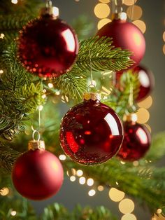 christmas ornaments hanging from a tree with lights in the background