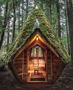 a small cabin with moss growing on the roof