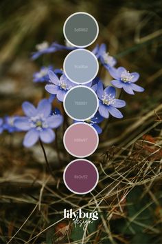 blue flowers with the words hylbug written below them in different colors and sizes