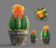 an image of a cactus plant with different stages of blooming in the same pot