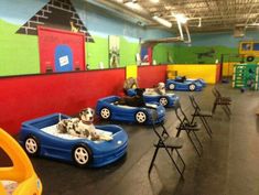 there are many dogs that are sitting in small cars at the playroom with other children's toys