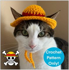 a cat wearing a crochet hat with a skull on it's side