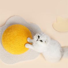 a white cat playing with a yellow ball