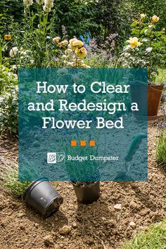 a garden with flowers in the background and text that reads how to clear and redesign a flower bed