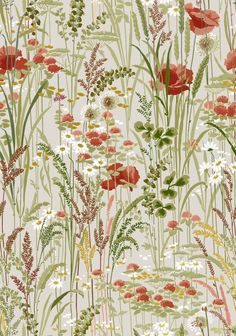 an image of flowers and grass on a white background with red, green, yellow and orange colors