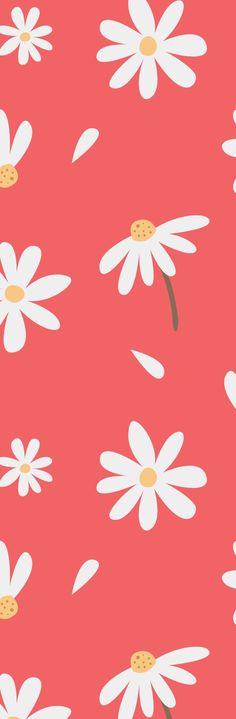 a pink background with white daisies on it