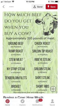 the menu for how much beef do you get when you buy a cow?