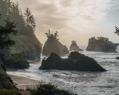 an ocean view with rocks and trees in the foreground