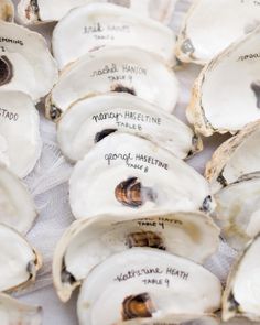 several open oysters with writing on them