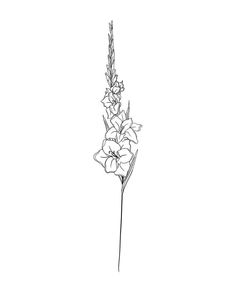 a drawing of a flower on a white background