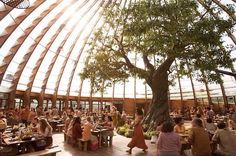 people sitting at tables under a large tree in a room with high ceilings and glass walls