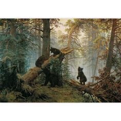 two black bears in the woods by some trees and fallen down logs with another bear standing on it's back