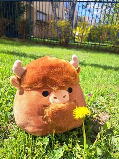 a stuffed animal sitting in the grass with a dandelion on it's nose