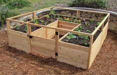 a wooden garden box with plants growing in it