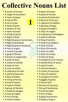 a list of different types of words and phrases on a yellow background with text below it