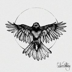 a black and white drawing of a bird with wings spread