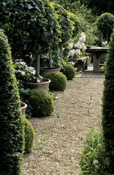 an outdoor garden with many potted plants