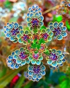 an image of a snowflake that is very colorful