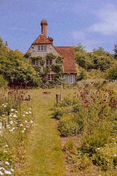 the house is surrounded by many flowers and greenery, with a path leading to it