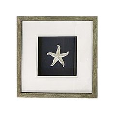 a white starfish in a green frame on a white wall with a black background