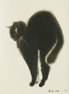 a black cat standing on top of a white floor next to a wall with the shadow of it's head