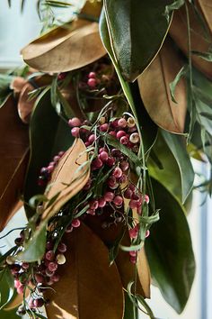 some green leaves and red berries hanging from a tree