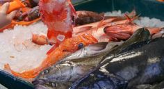 several different types of fish on ice in a bin with carrots and other vegetables